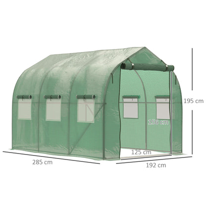 Walk in Polytunnel Greenhouse w/ Windows & Door for Garden, Backyard (3 x 2M)