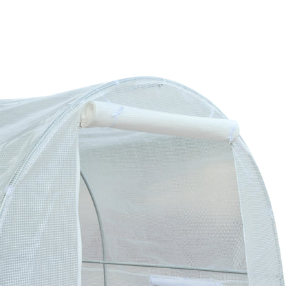 250L X 200W X 200H cm Walk-in Greenhouse-White PE