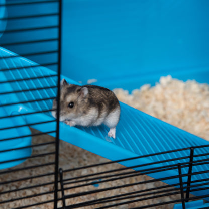 Hamster Cage Small Animal Cage Habitat for Guinea Pigs Chinchillas With Accessories, 80x48x58 cm, Light Blue