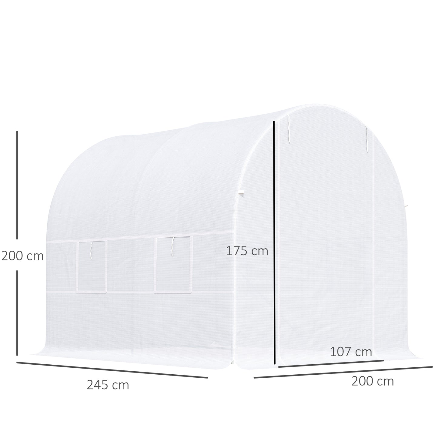 250L X 200W X 200H cm Walk-in Greenhouse-White PE