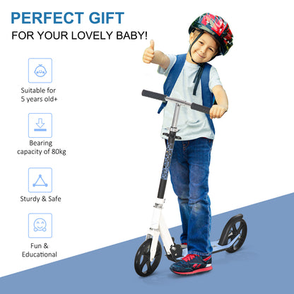 Childrens 2 Wheel Scooter, Folding Kids Kick Scooter-Blue