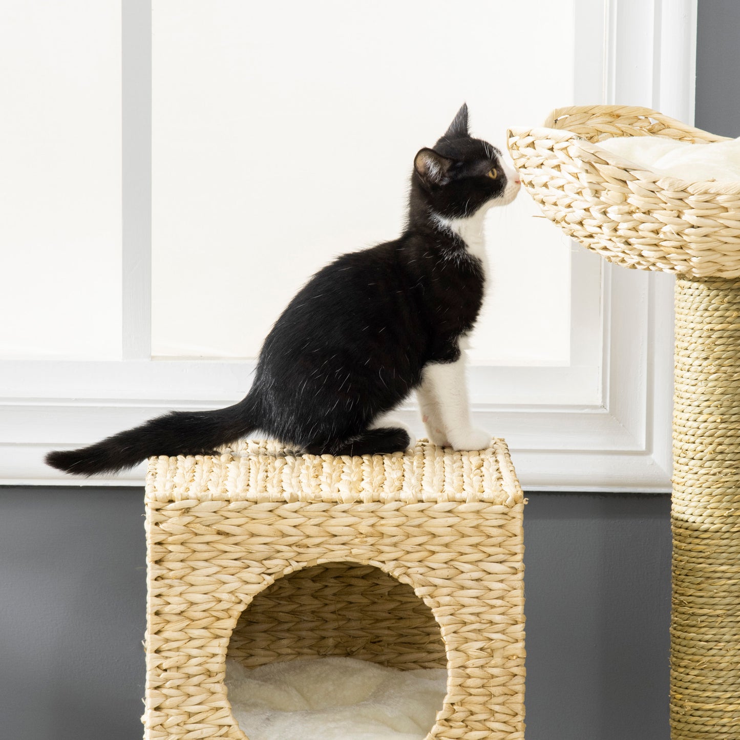 Cat Tower with Cat House Scratching Post Cat Ladder for Kitten Washable Cushion Activity Center Natural