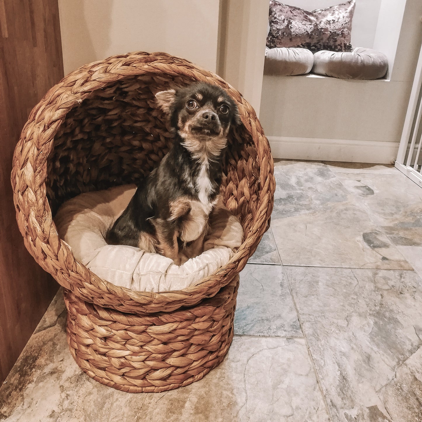 PawHut Cat Basket, Woven Banana Leaf Elevated Basket Bed w/ Cushion Brown