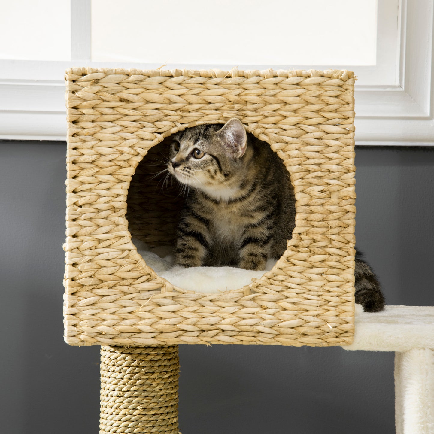 Cat Tower with Cat House Scratching Post Cat Ladder for Kitten Washable Cushion Activity Center Natural